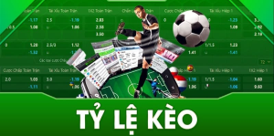Thông tin sơ lược về tỷ lệ kèo